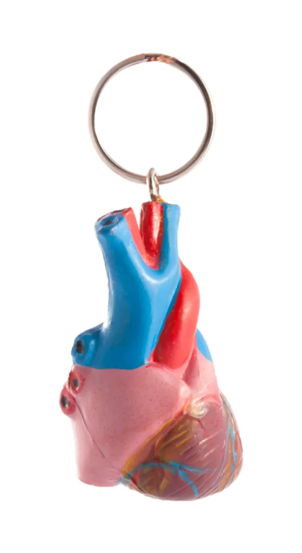 Hospitrix Sleutelhanger Menselijk Hart